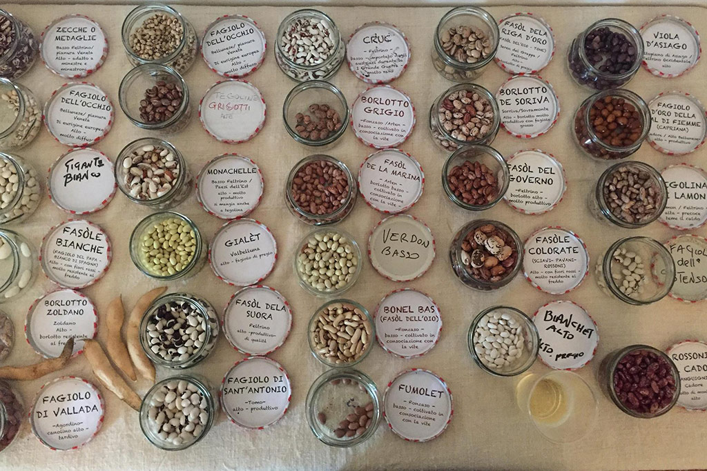 CuSvi sviluppo culinario semi e biodiversità